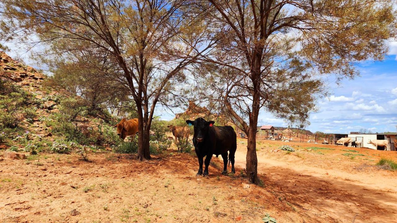 Ooraminna Homestead Alice Springs Exterior photo